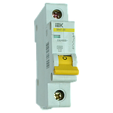 Автоматичний вимикач ВА47-29 1P 2 A 4,5 кА х-ка C ІЕК, фото 3