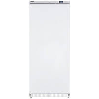 Шафа морозильна Frosty FBD600