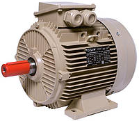 Электродвигатель IE3 энергоэффективный LEDERMANN L3E A 132SA6 3.0 кВт 1000 об/хв B3 стандарт DIN