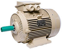 Электродвигатель IE3 энергоэффективный LEDERMANN L3E A 160MA8 4.0 кВт 750 об/хв B3 стандарт DIN
