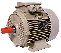 Электродвигатель IE3 енергоефективний LEDERMANN L3E A 132SA2 5.5 кВт 3000 об/хв B3 стандарт DIN