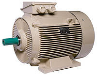 Электродвигатель IE3 энергоэффективный LEDERMANN L3E A 225MA2 45.0 кВт 3000 об/хв B3 стандарт DIN