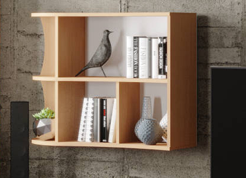 Полиця П-6 (Компаніт),