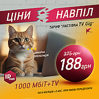 Домашний Интернет до 1000 Мбит/с с телевидением. Ethernet или GPON от IPnet