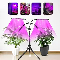 Светодиодная лампа для растений с подставкой-штативом и таймером (фитолампа для внутреннего выращивания)