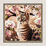 Картина за номерами Котик в саду. Тварини exp 40*40 см Ідейка KHO 6513, фото 5