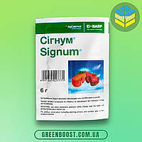 Фунгицид Сигнум (6 г) BASF