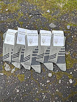 Шкарпетки/ Шкарпетки тактичні зсу олива 5 шт