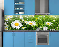 Кухонная панель ПЭТ с ромашками ПЭТ 62х205 см, 1,2 мм