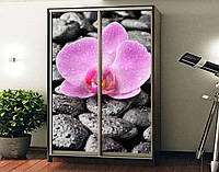 Наклейка на шкаф-купе 220 х 74 см на 2 двери орхидея на камнях (БП_а_fl13322)