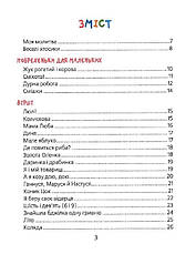 Книга «Веселі вірші». Автор - Анна Чубач, фото 2