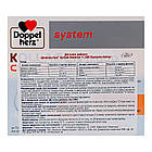 Колаген 11000 System Куркума+Імбир, 30 ампул х 25 мл, Doppelherz, фото 3