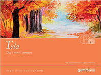 Бумага для масла, Fabriano Pittura, альбом 24*32 см, 10 л, 300г, Gamma TE3002432K10