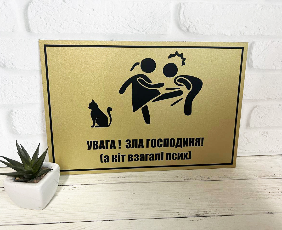 Табличка металева "Зла господиня, а кіт псих"