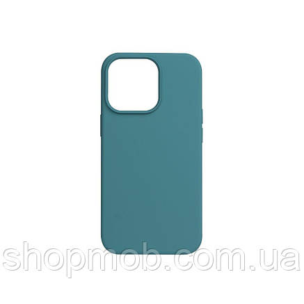 SM  SM Чехол Soft Case Full Size для iPhone 13 Pro Цвет 65, Cactus color, фото 2