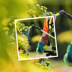 Інсектициди