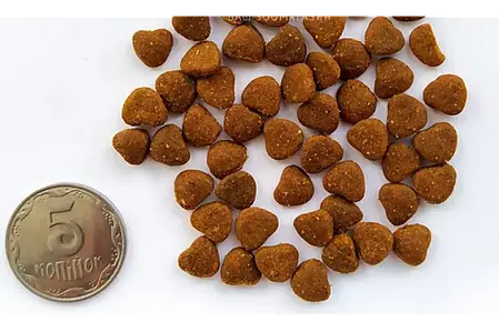 Сухий корм для кошенят Baskerville Getreidefrei Junior 20 кг, фото 2