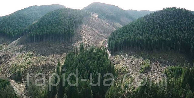 фрези для дерева