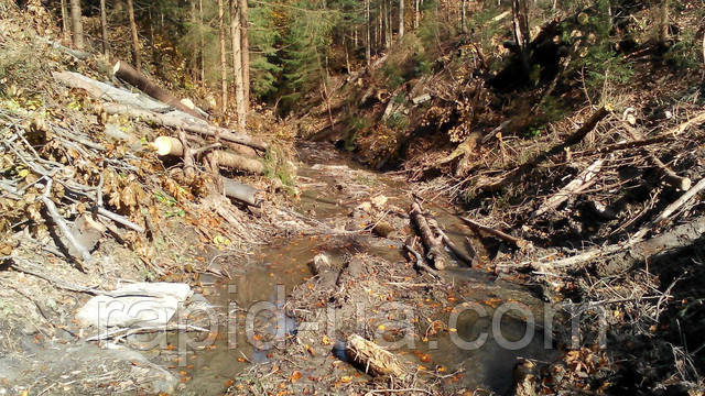 фрези для дерева від виробника