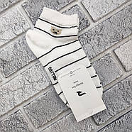 Шкарпетки дитячі підліток короткі весна/осінь р.20-22 білі в смужку РефлексТекс 30038644, фото 3