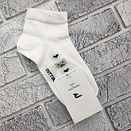 Шкарпетки дитячі підліток короткі весна/осінь р.20-22 білі в смужку РефлексТекс 30038644, фото 5