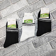 Шкарпетки жіночі середні літо сітка р.36-40 ажур асорті LUXE 30038725, фото 2