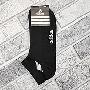 Шкарпетки чоловічі короткі літо сітка асорті р.41-45 СПОРТ А ТУРЦІЯ 30038736, фото 3