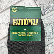 Шкарпетки чоловічі середні літо сітка р.42-45 асорті ЖИТОМИР ГС 30038728, фото 6