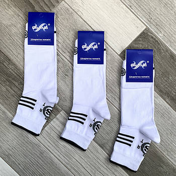 Шкарпетки чоловічі демісезонні спортивні бавовна Смалій Sport 11В3-314Д, білі, 29 розмір, 314