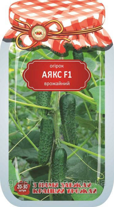 Огірок Аякс F1