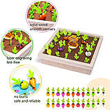 Розвивальна гра Грядка, фото 5