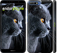 Пластиковый чехол Endorphone на Huawei Y6 2018 Красивый кот (3038m-1637-26985) KP, код: 1390812