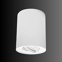 Потолочный белый одинарный светильник QXL-1724-R-WH