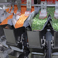 Мультиголовочный весовой дозатор для замороженных овощей Ishida RV Series