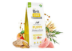 Brit Care Dog Sustainable Puppy 12 кг Сухий корм для цуценят з куркою та комахами