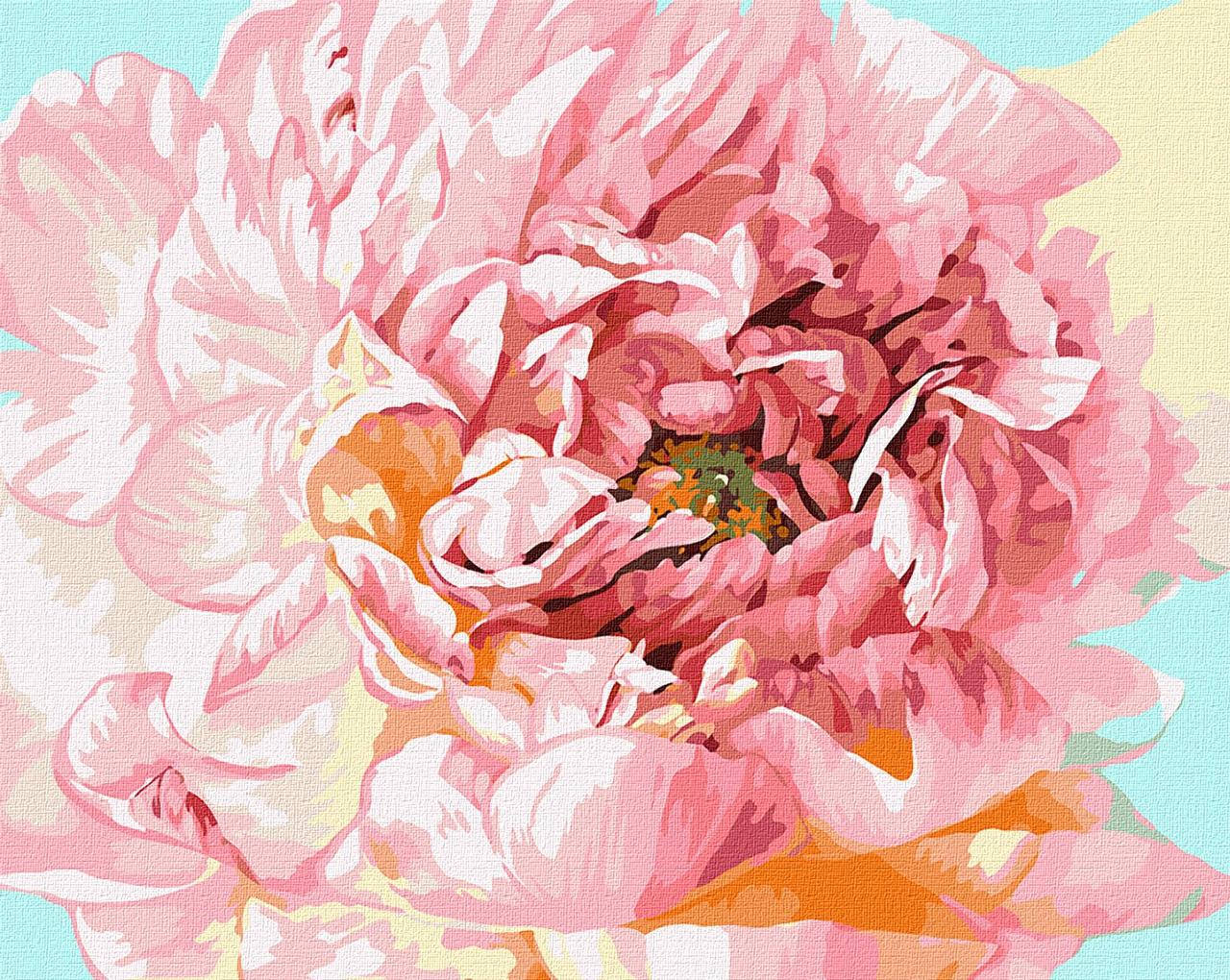 

Картина по номерам КНО2996 Нежный пион ©Ira Volkova, 40х50см. Идейка