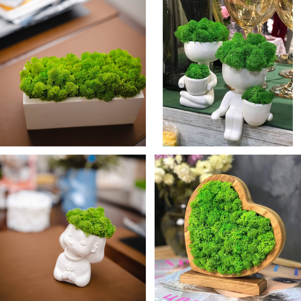 

Кашпо со стабилизированным мхом SO Green Соу Грин