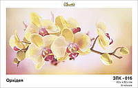 Схема для вышивки бисером Орхидея ,ТМ Золотая Подкова ЗПК-016