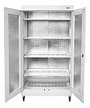 Шафа сушильна для сушіння дихальних апаратів ЕВШСТ-3/220/С/1200х600, фото 2