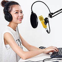 Микрофон студийный DM 800U, Микрофон для студийной звукозаписи, Настольный микрофон с усилителем голоса Im_785