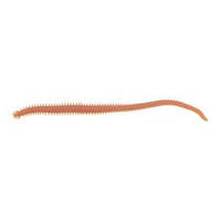 Хробак Berkley Gulp Alive Sandworm Natural 6 15cm 14шт