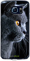 Пластиковый чехол Endorphone Samsung Galaxy S6 Edge G925F Красивый кот (3038m-83-26985) KS, код: 7500703