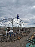 Каркас теплиці "Західна-8" 8х8х3,5м труба 40х40, фото 5