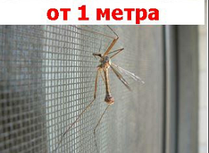 Антимоскітна євро сітка для вікон і дверей, захист від мух, комарів і пилу, ширина 0,8 м