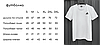 Комплект TNF футболка сіра + шорти, фото 7