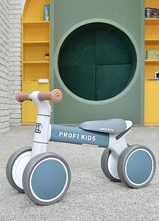 Велобіг чьотирьохколісний Profi Kids MBB 1014, blue