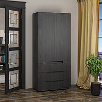 Шафа розпашна Модерн ШРМ - 01, Купити шафу для дому