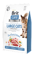 Сухой корм для кошек крупных пород Brit Care Cat GF Large cats Power & Vitality 2 кг (курица и утка) g