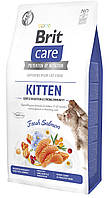 Сухой корм Brit Care Cat by Nutrition Kitten Gentle Digestion Strong Immunity для котят, с лососем, 7 кг g