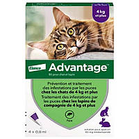Адвантейдж 80 более 4кг 1уп(4 пипетки*0,8мл) для кошек (инсектицид) g